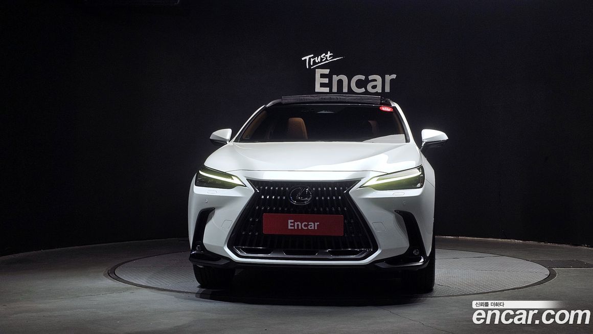 Lexus NX 2025