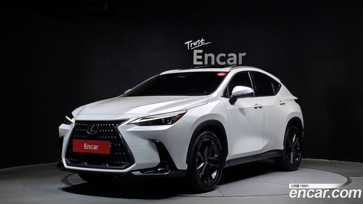 Lexus NX 2024