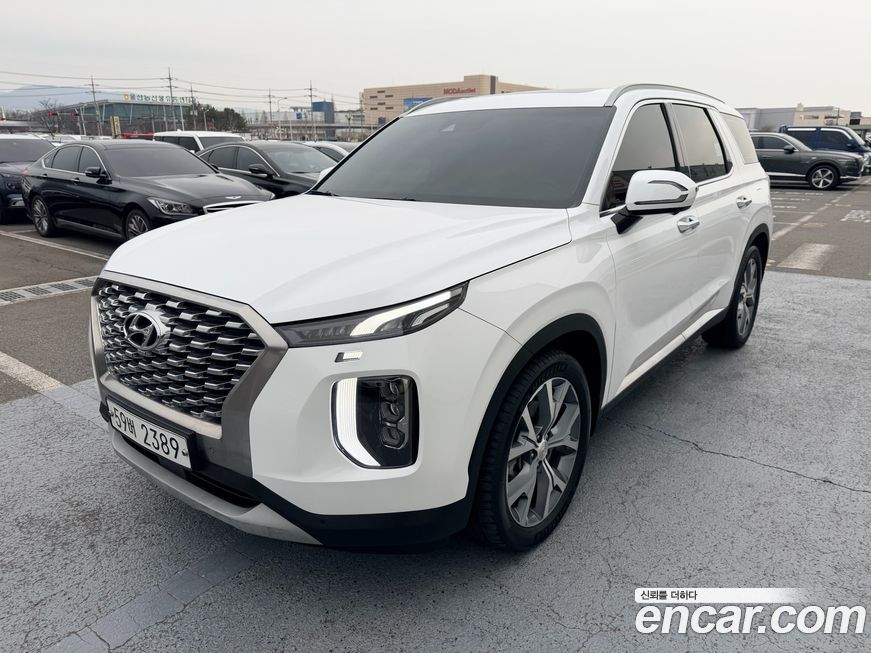 Hyundai Palisade 2019