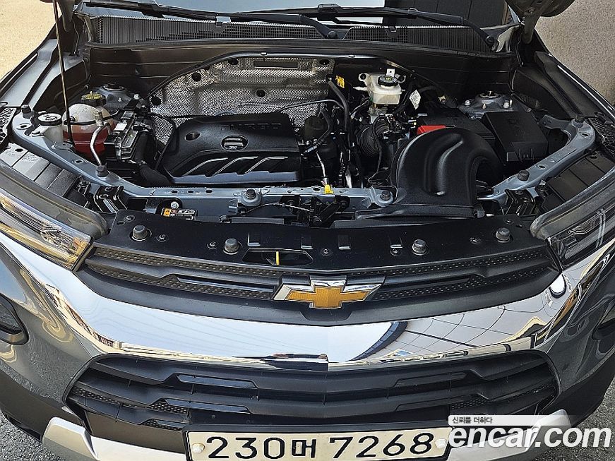 ChevroletGMDaewoo Trailblazer 2021