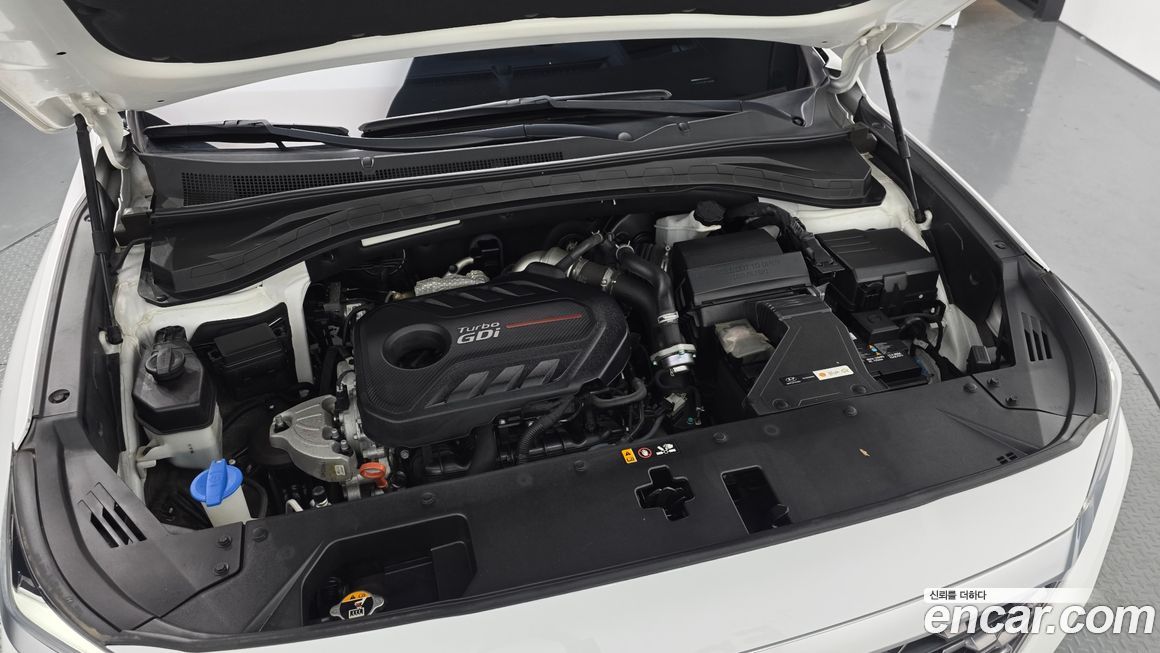 Hyundai Santafe 2020