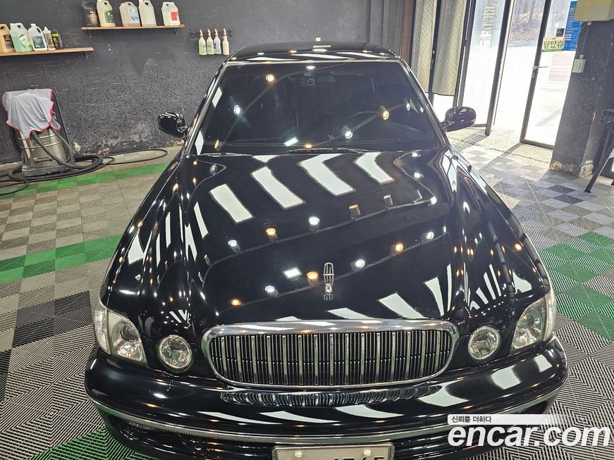 Hyundai Dynasty 2002
