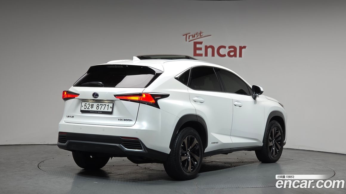 Lexus NX 2019