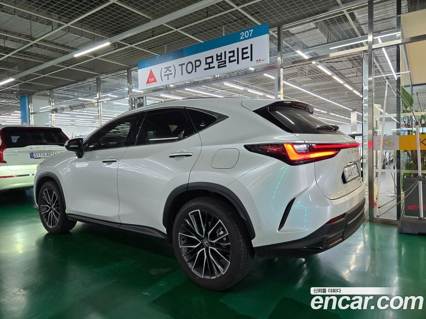 Lexus NX 2025
