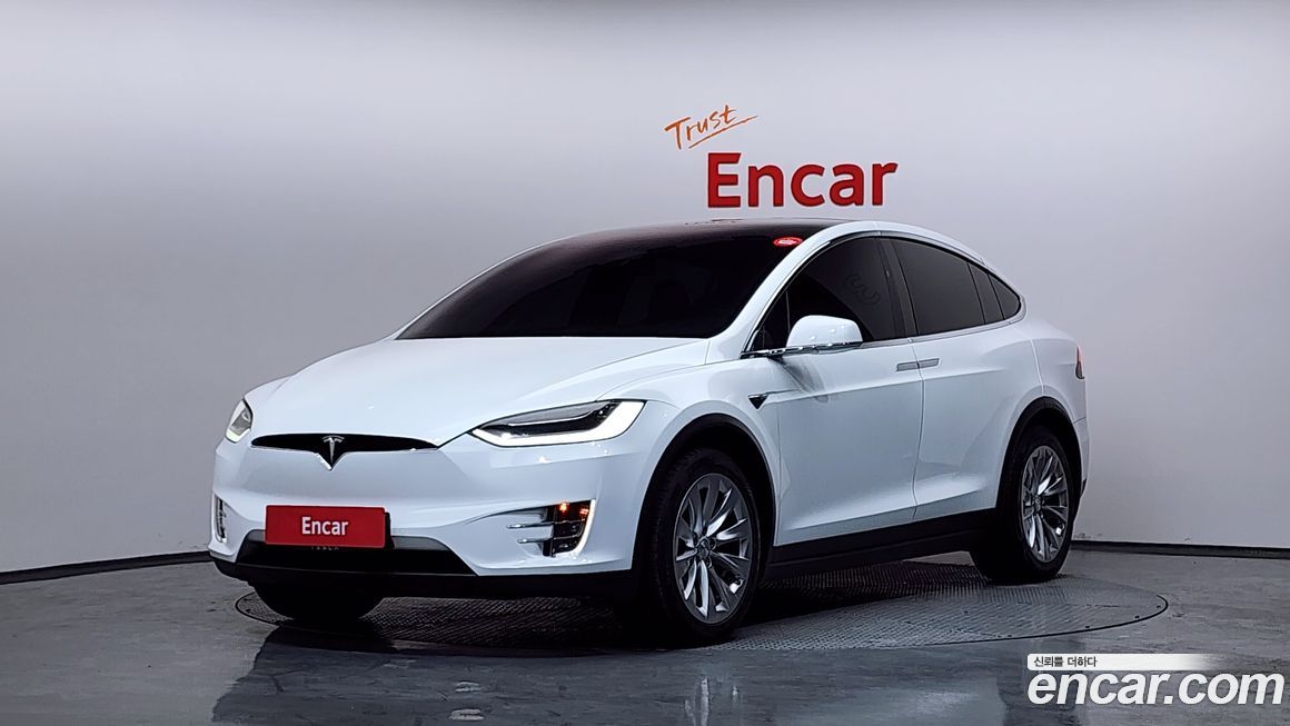 Tesla Model X 2019