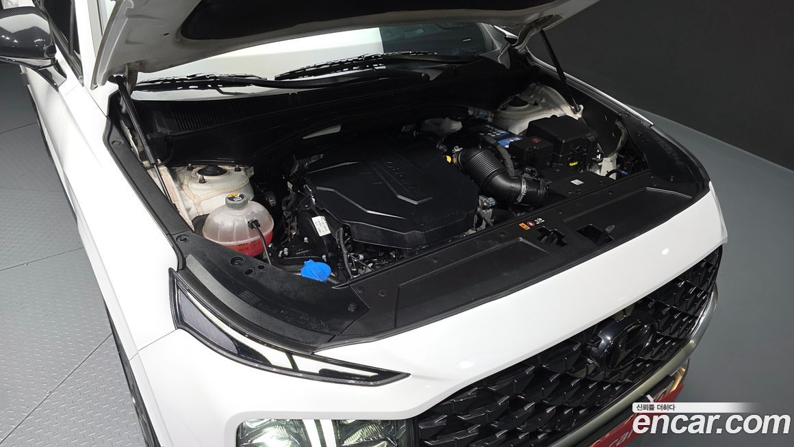 Hyundai Santafe 2021