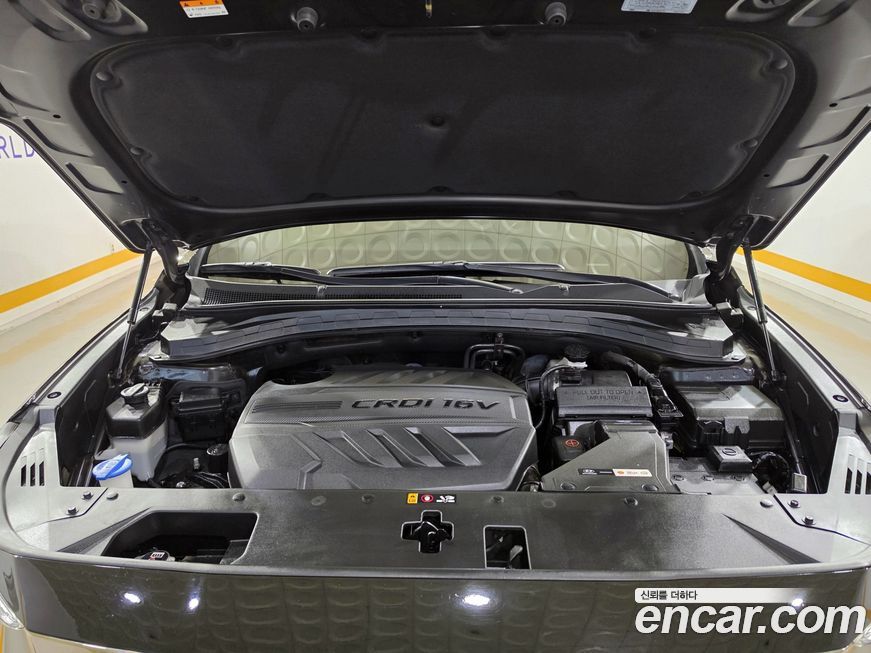 Hyundai Santafe 2019