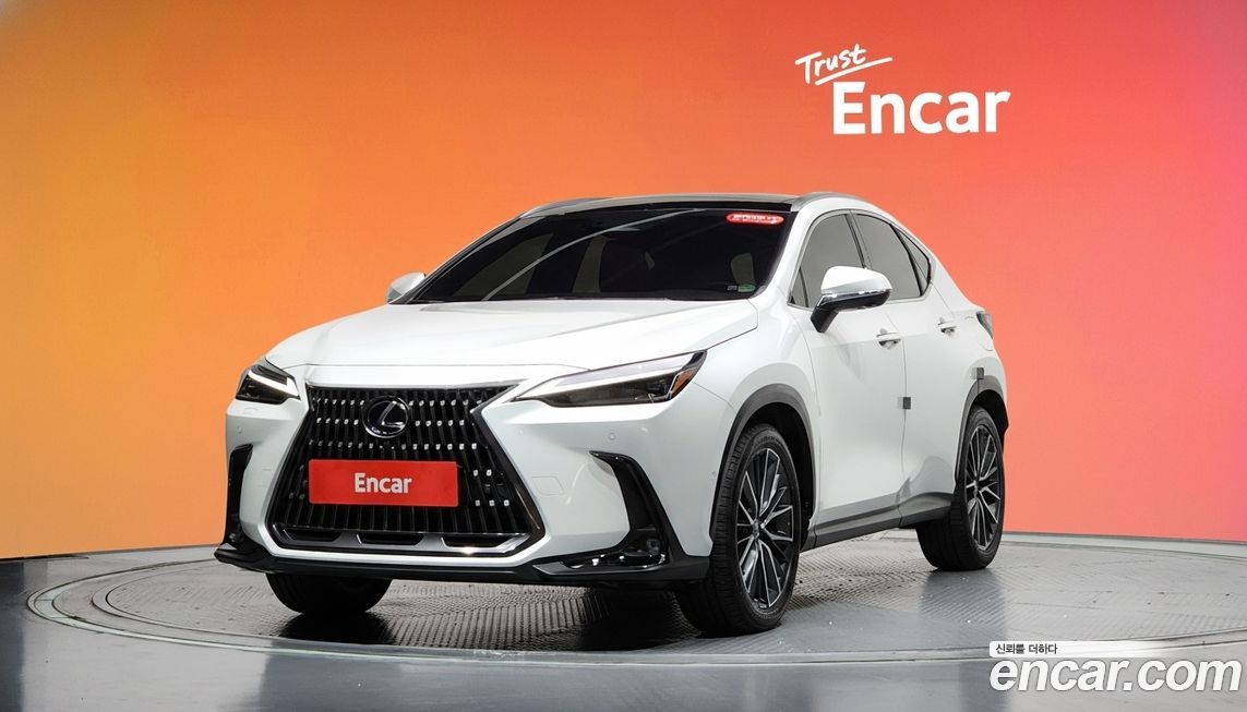 Lexus NX 2025