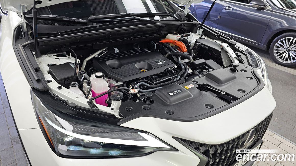 Lexus NX 2025