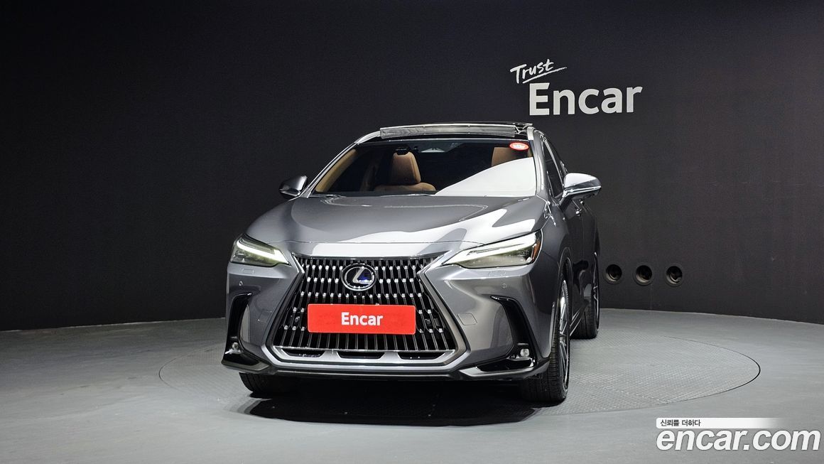 Lexus NX 2025
