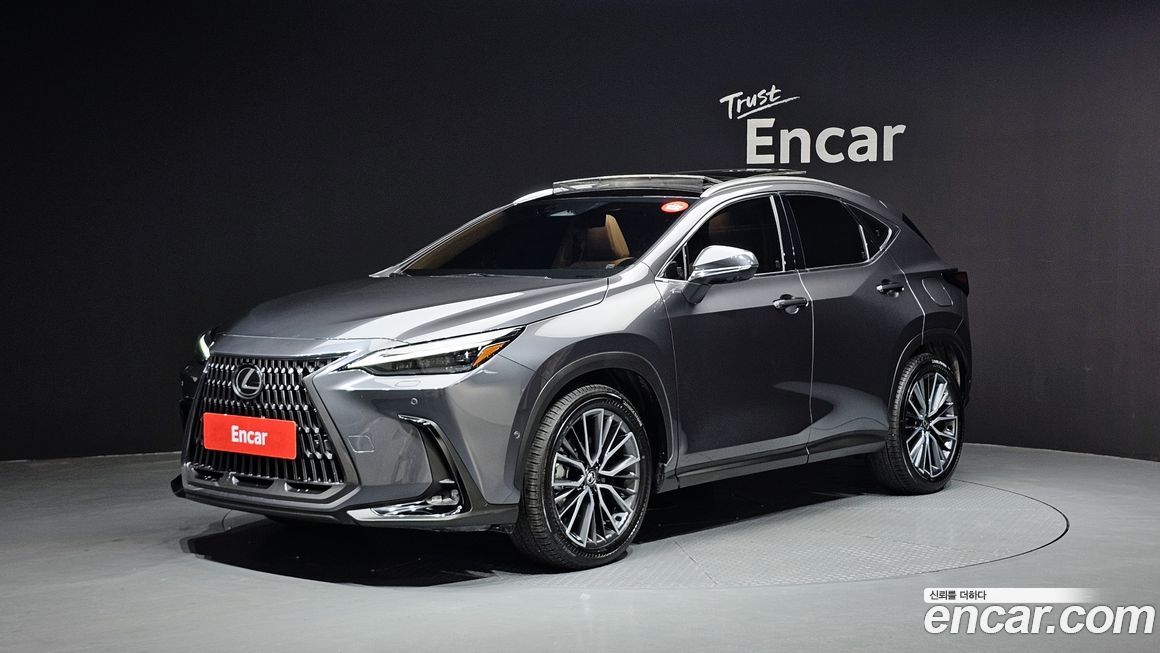 Lexus NX 2025