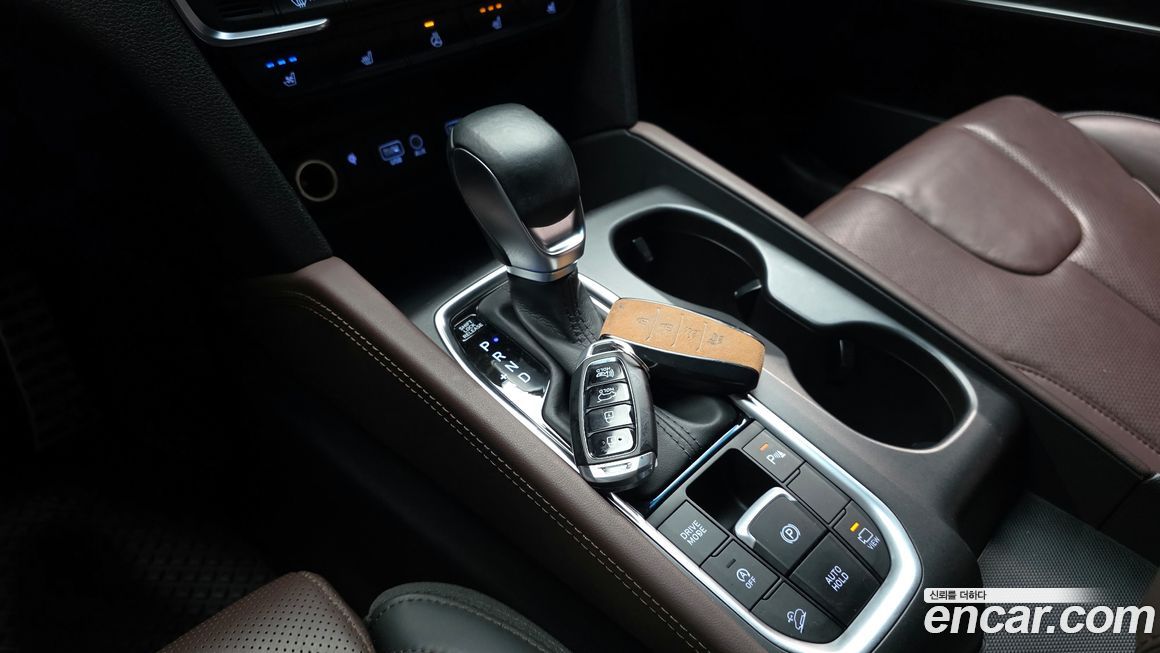 Hyundai Santafe 2019