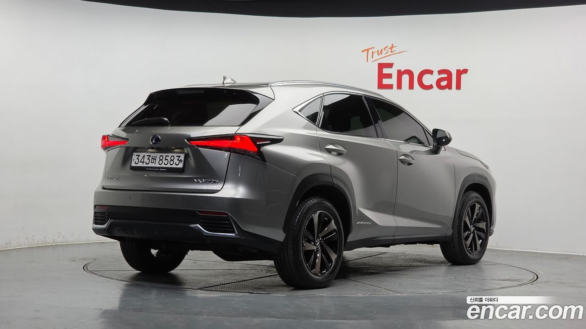 Lexus NX 2020