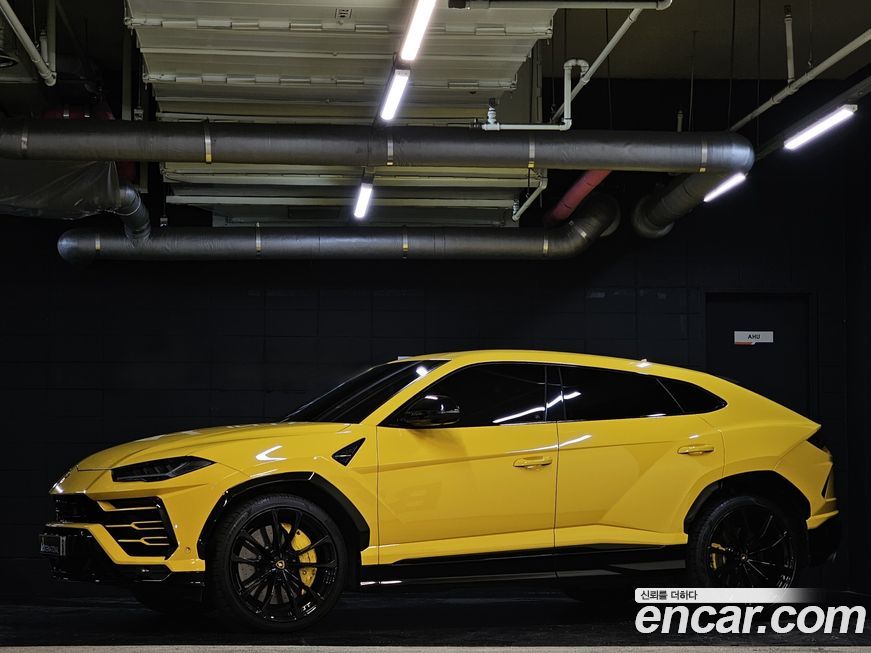 Lamborghini Urus 2021