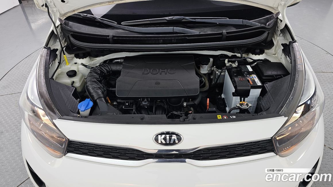 Kia morning 2019