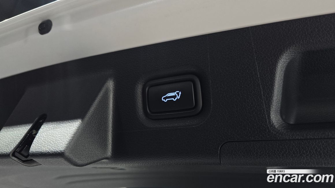 Hyundai Santafe 2020