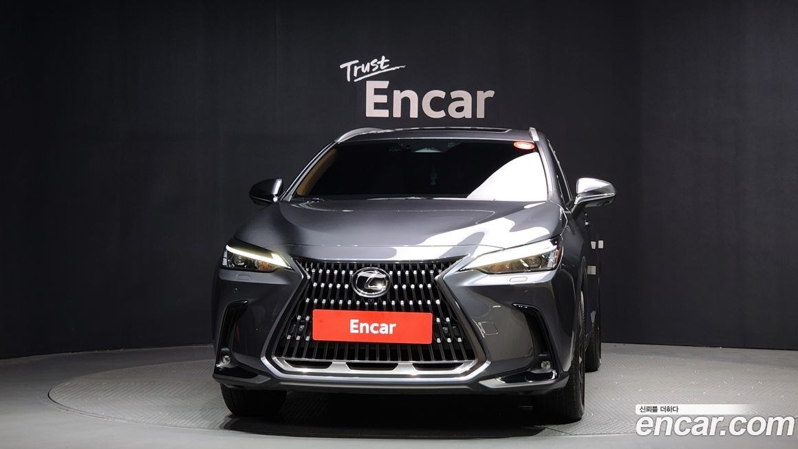 Lexus NX 2025