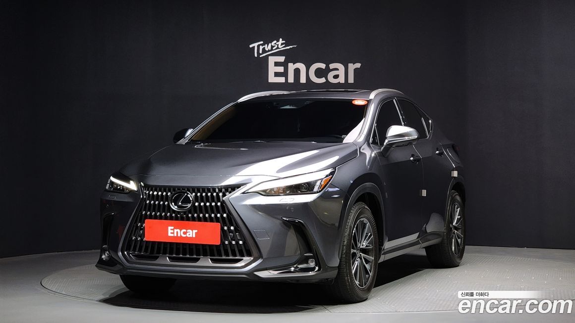 Lexus NX 2025