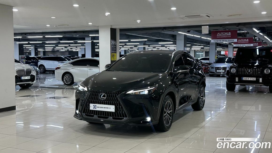 Lexus NX 2025