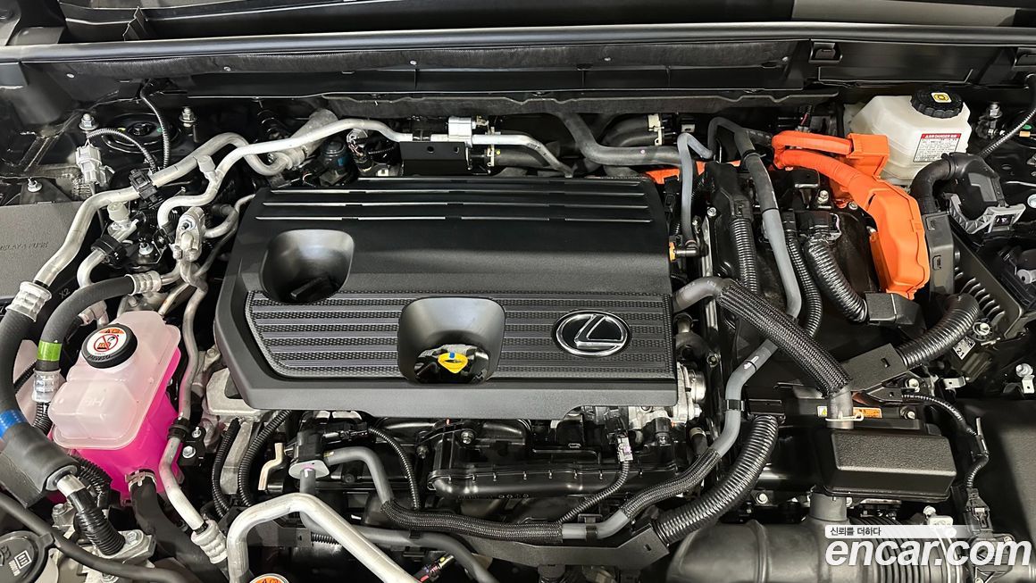 Lexus NX 2025