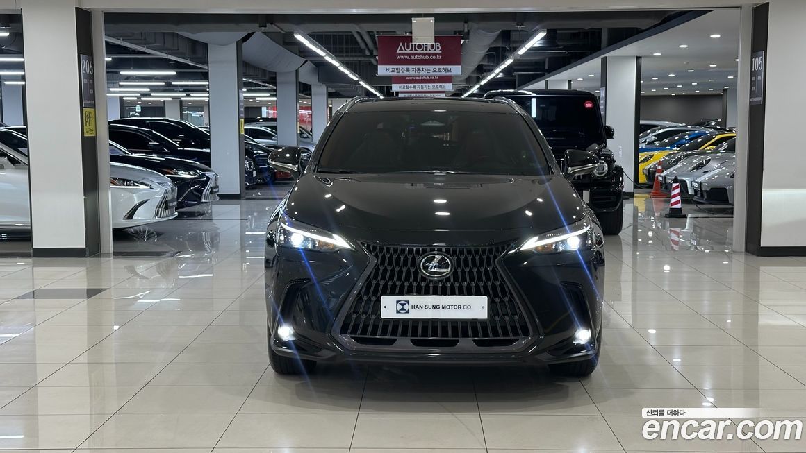 Lexus NX 2025