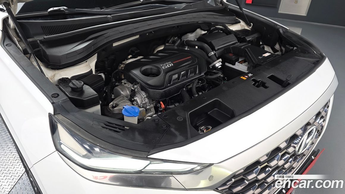 Hyundai Santafe 2019