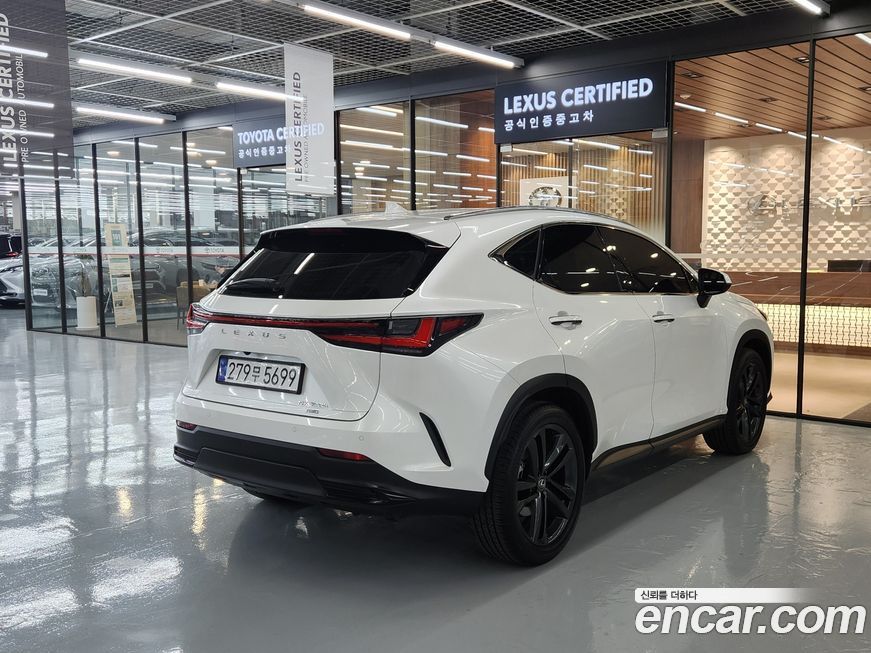 Lexus NX 2025