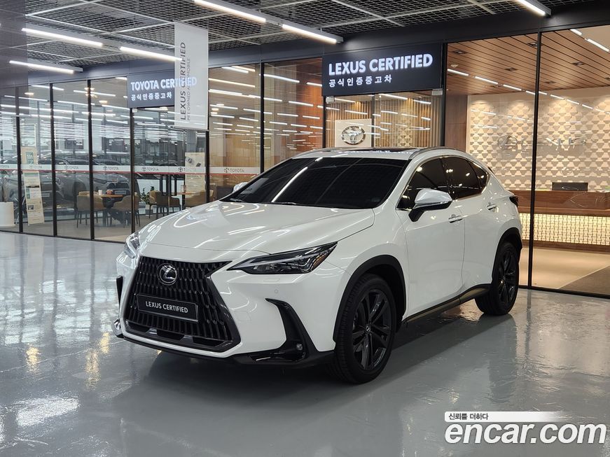 Lexus NX 2025