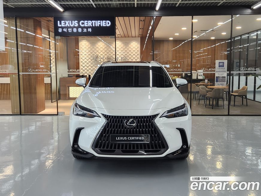 Lexus NX 2025