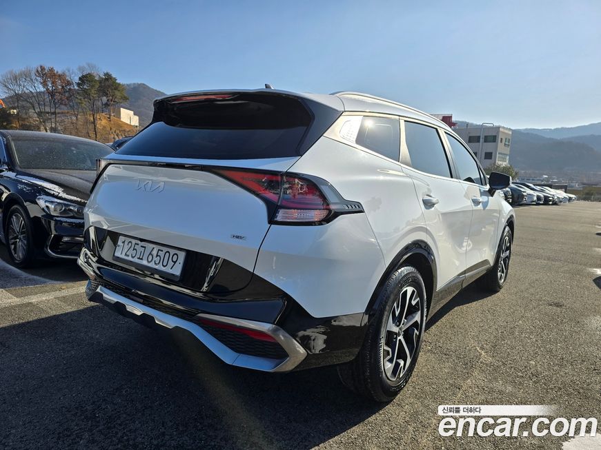Kia Sportage 2023
