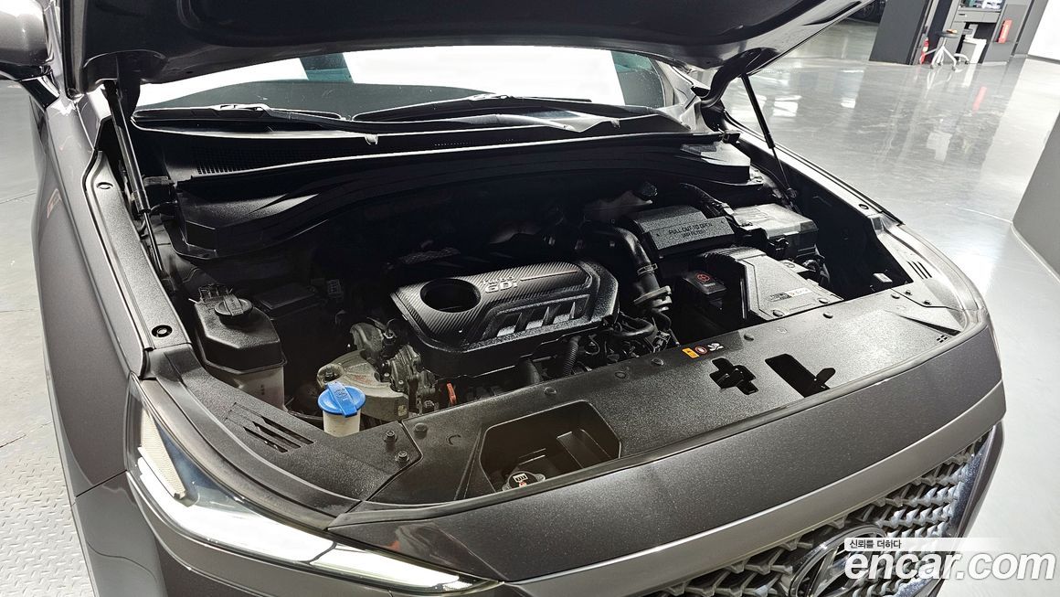 Hyundai Santafe 2019