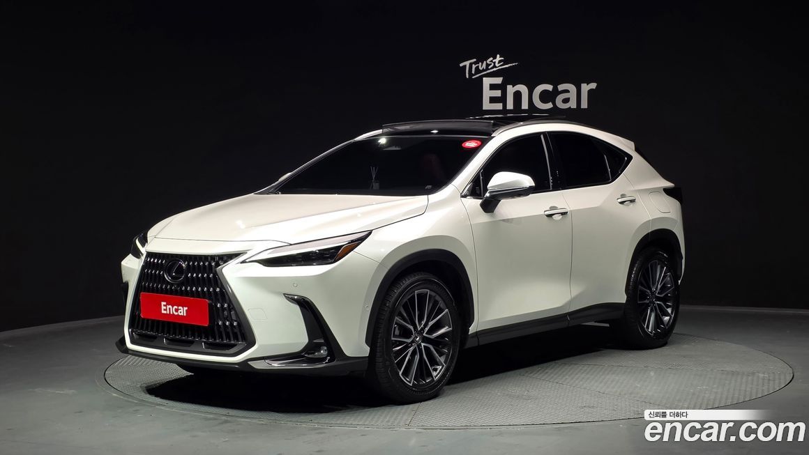 Lexus NX 2025