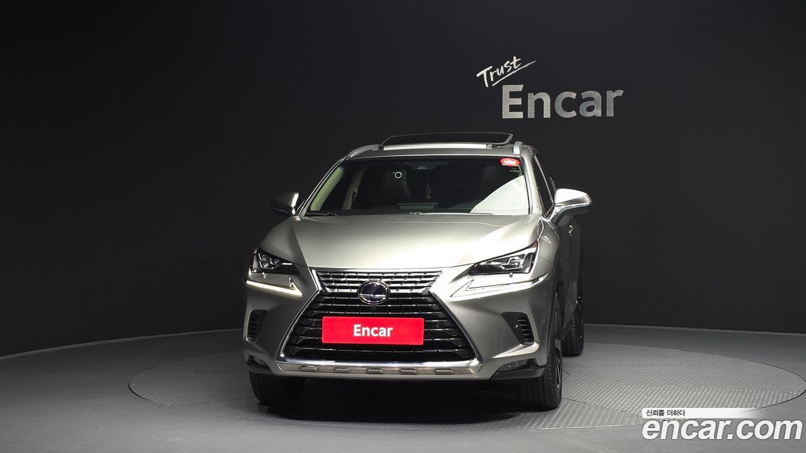 Lexus NX 2019