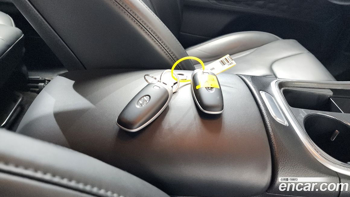 Hyundai Santafe 2022