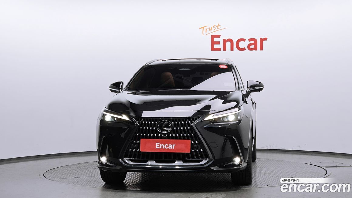 Lexus NX 2023