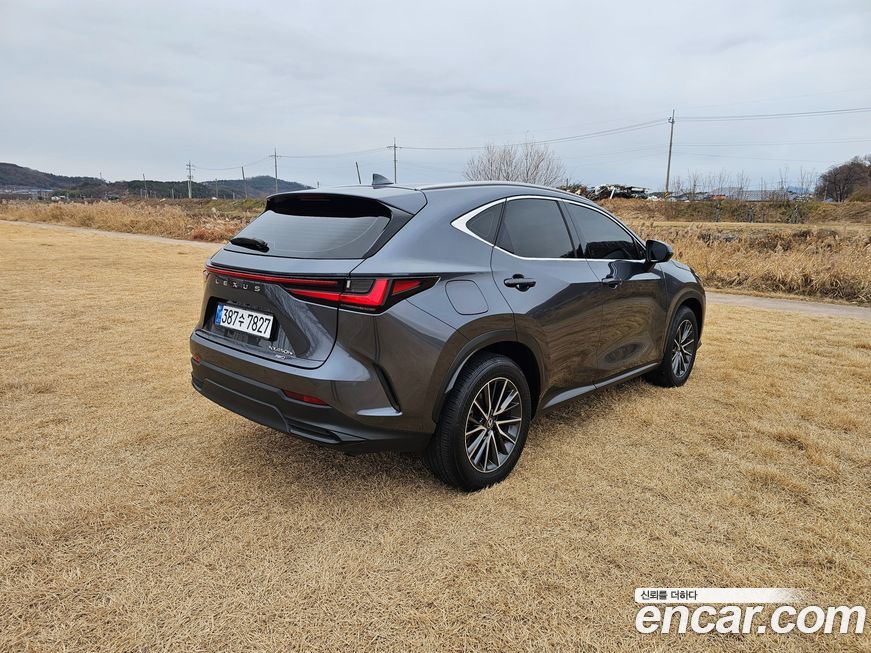 Lexus NX 2024