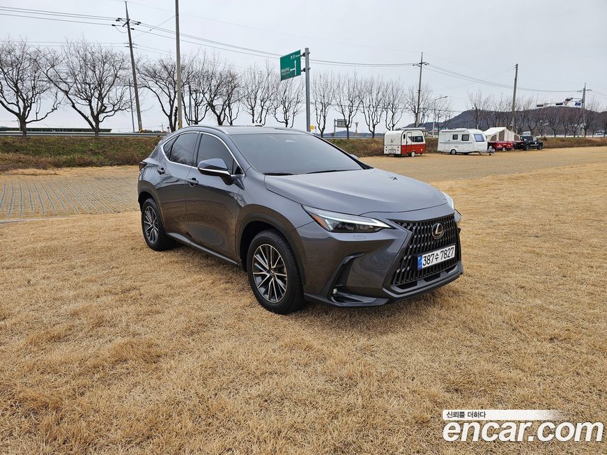 Lexus NX 2024