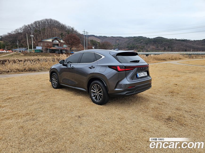 Lexus NX 2024