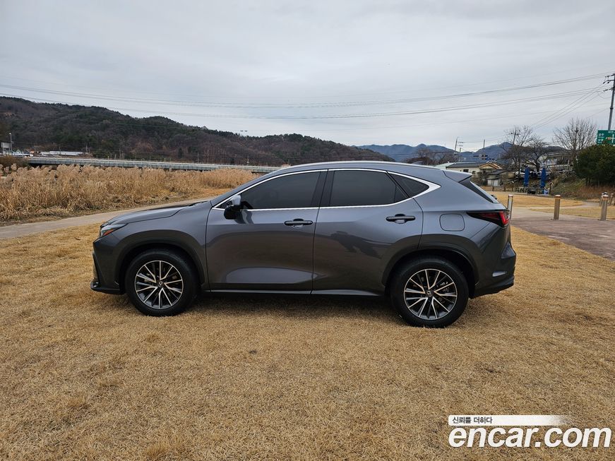 Lexus NX 2024