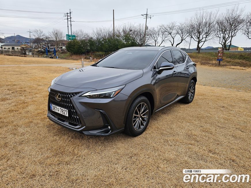 Lexus NX 2024