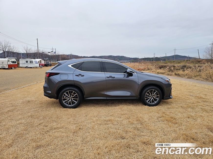 Lexus NX 2024