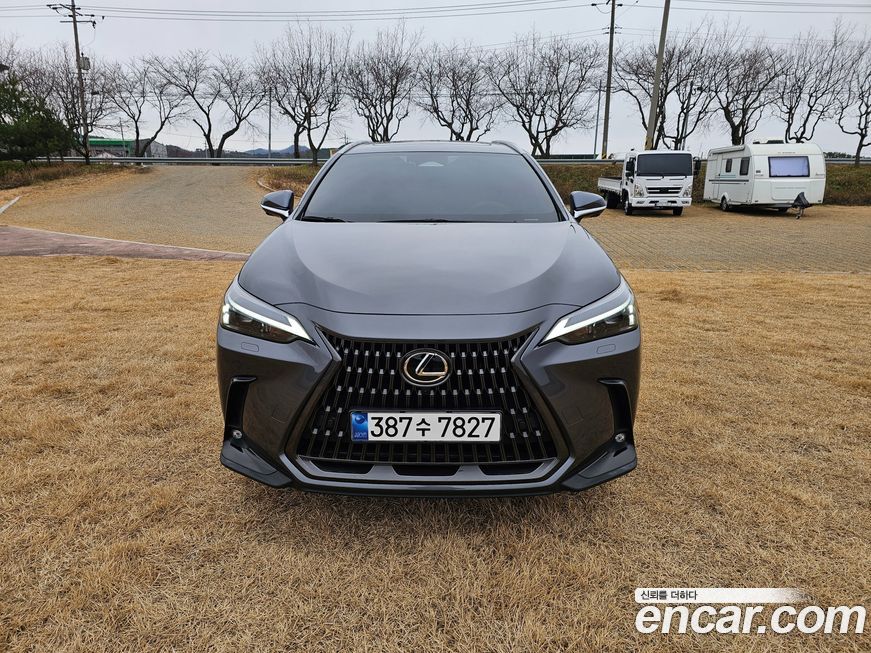 Lexus NX 2024