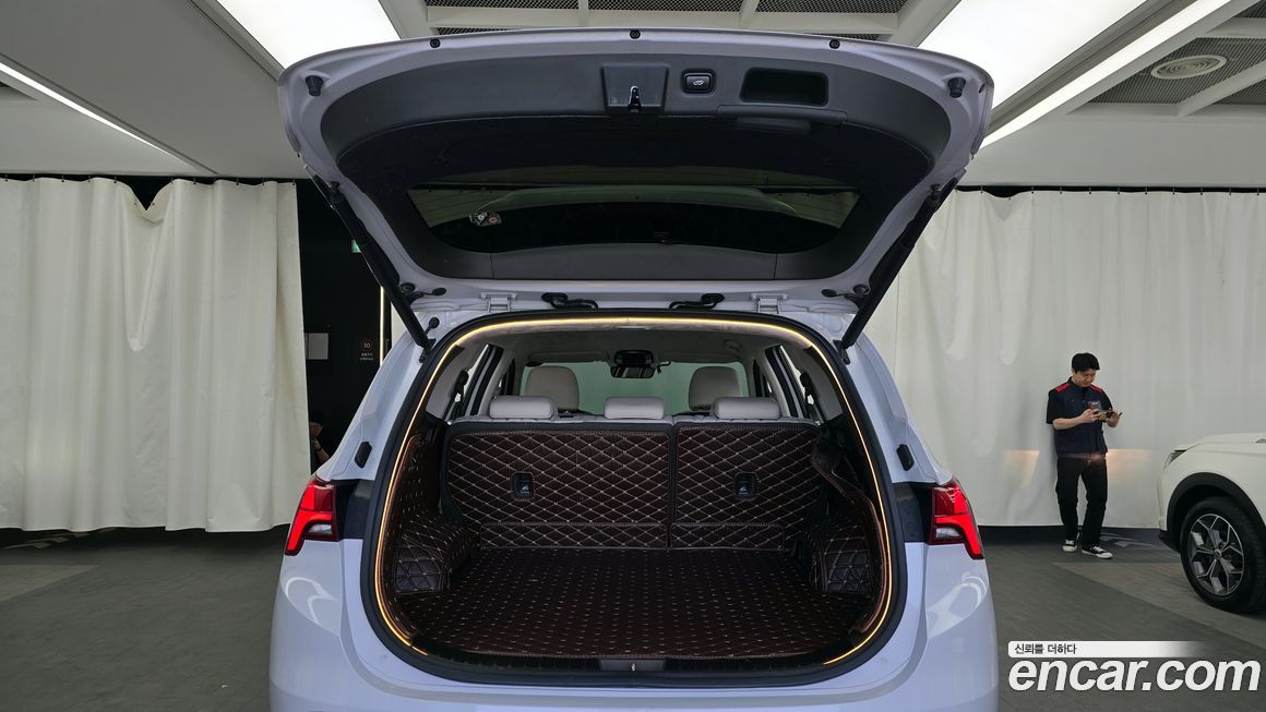 Hyundai Santafe 2021