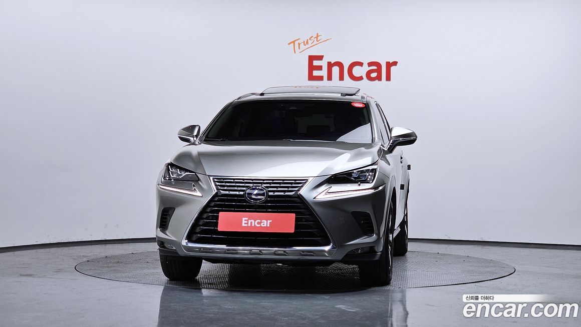 Lexus NX 2019
