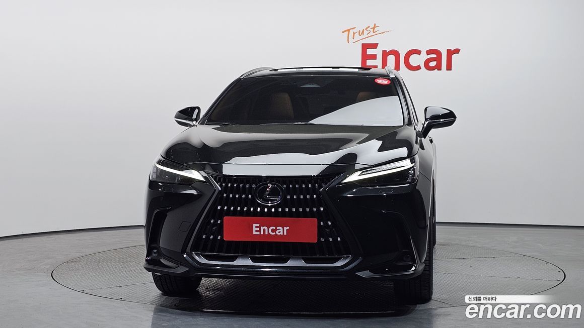 Lexus NX 2024