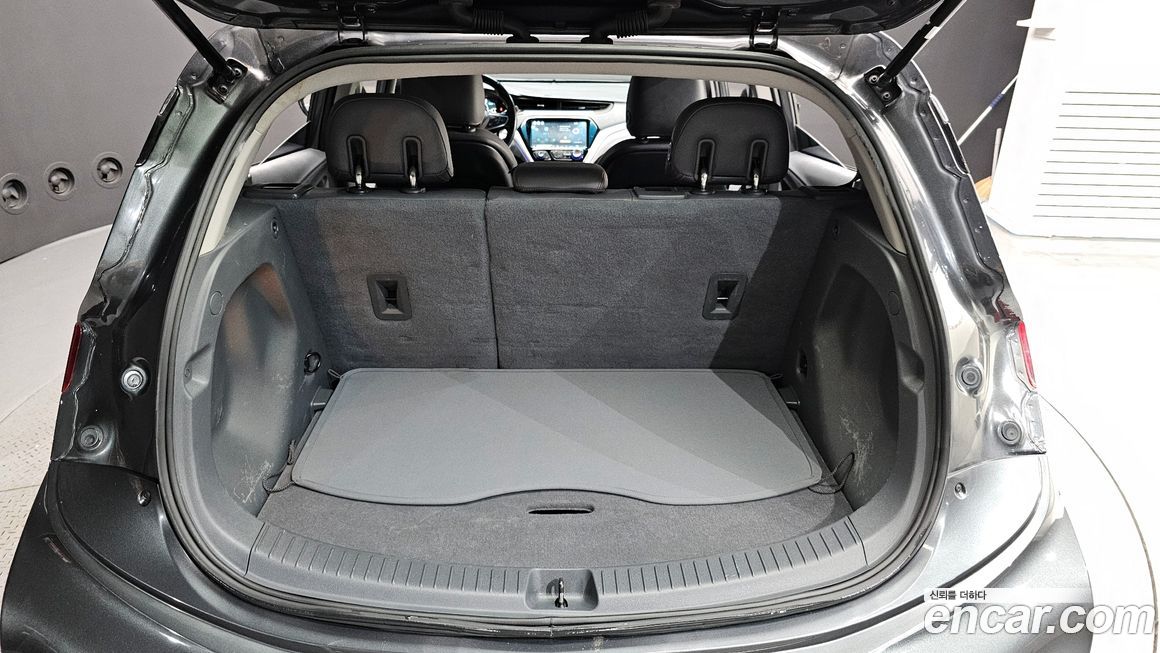 ChevroletGMDaewoo Bolt EV 2019