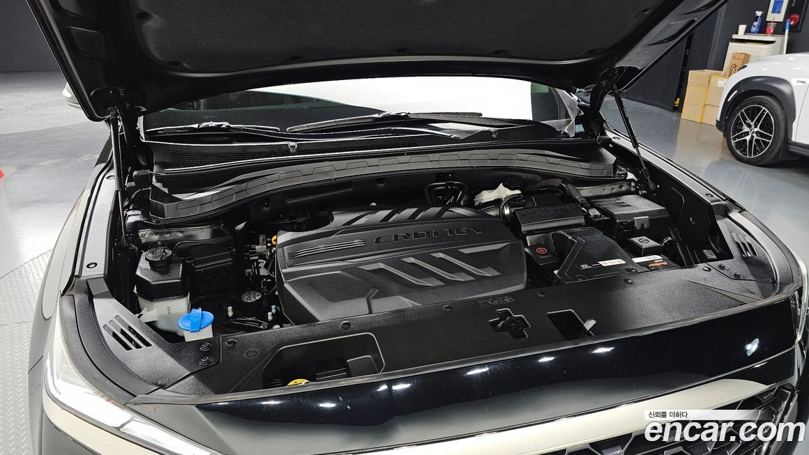 Hyundai Santafe 2019