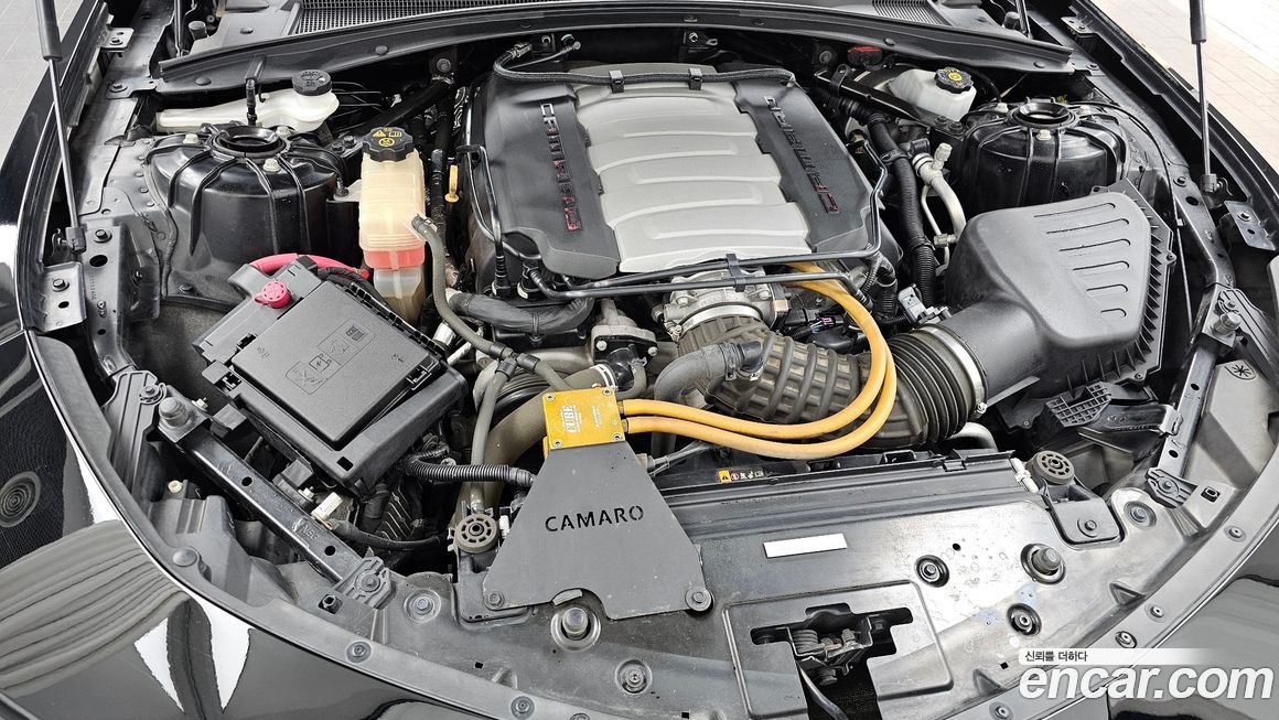 ChevroletGMDaewoo Camaro 2019