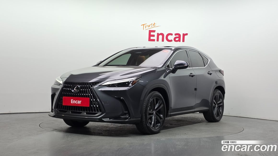 Lexus NX 2024