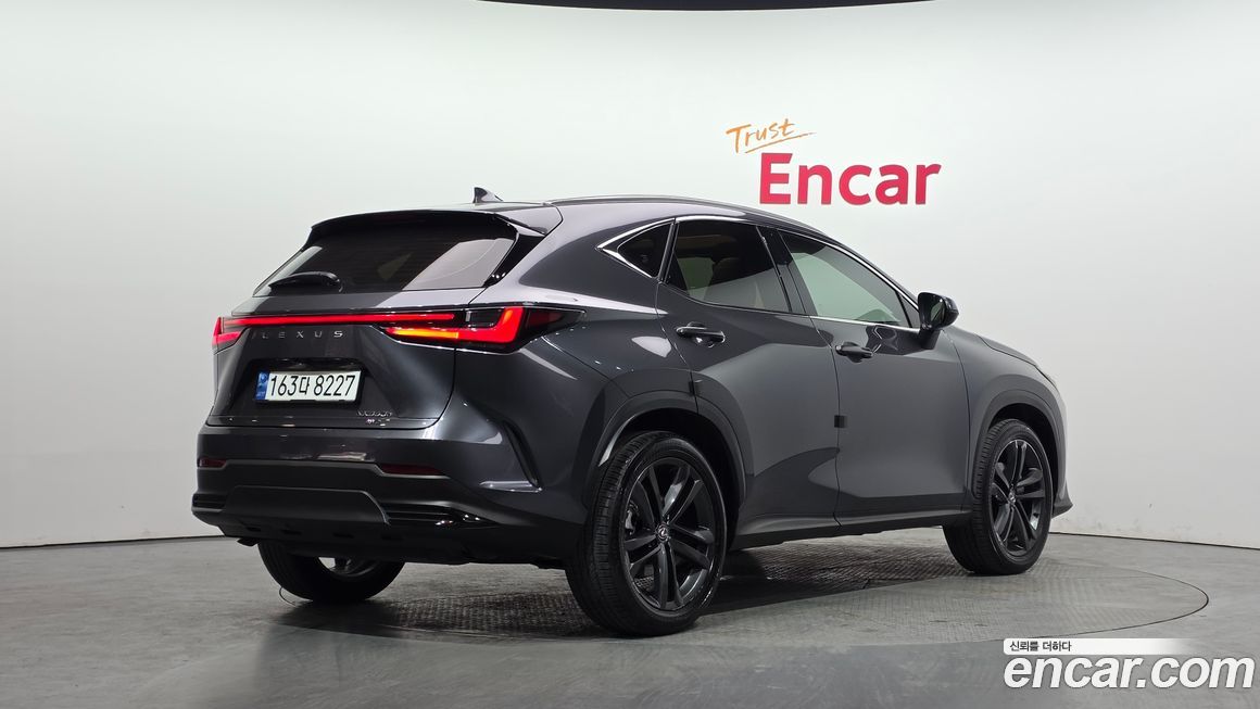 Lexus NX 2024